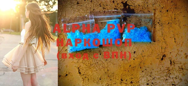 молекула духа Арсеньев
