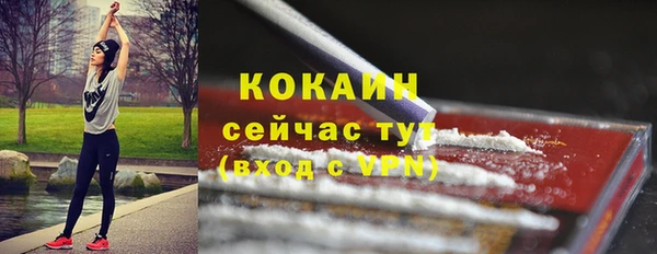 молекула духа Арсеньев