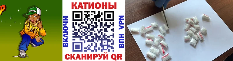 закладки  Бакал  МЯУ-МЯУ мяу мяу 