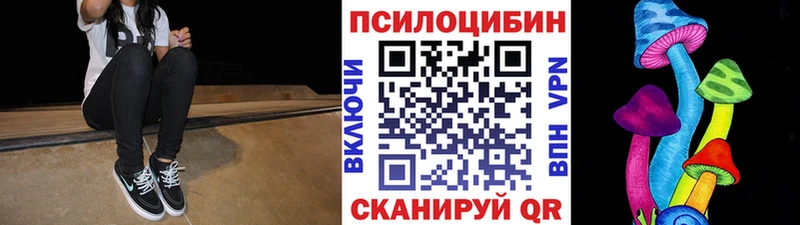 Псилоцибиновые грибы Psilocybine cubensis  Бакал 